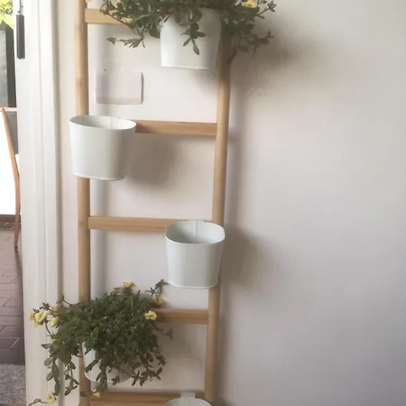 Rosen Garden شقة *