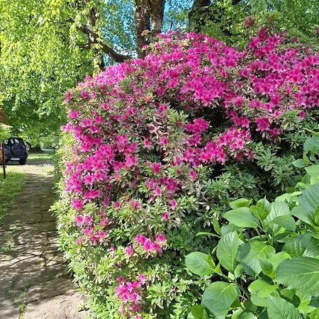 شقة Rosen Garden *