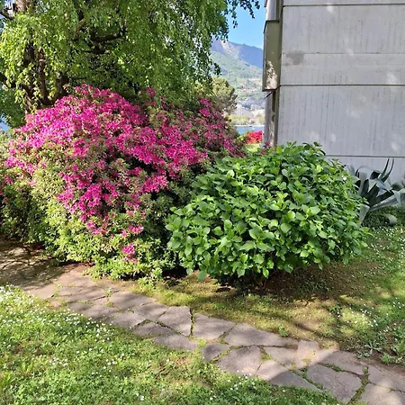 Rosen Garden